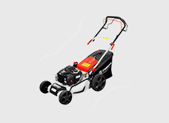 Sterwins Comfort Briggs&Stratton картинка