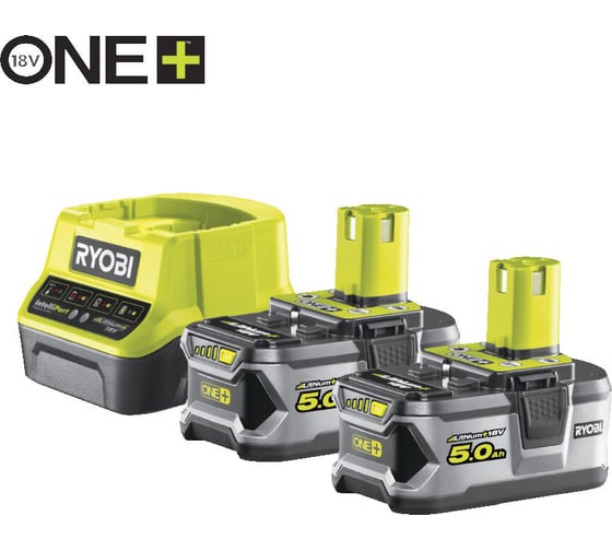 Набор Ryobi ONE+ RC18120-250 5133003364 аккумулятор (18 В; 5.0 А*ч; Li-Ion) 2 шт. и зарядное устройство RC18120 картинка